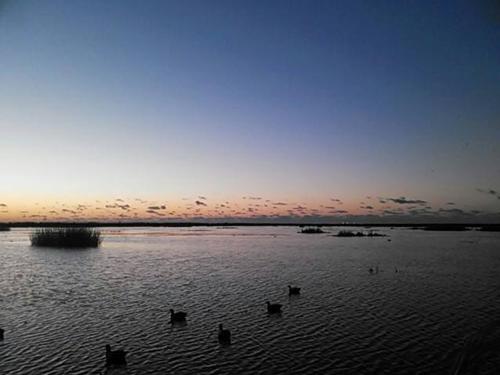 Duck Hunting report