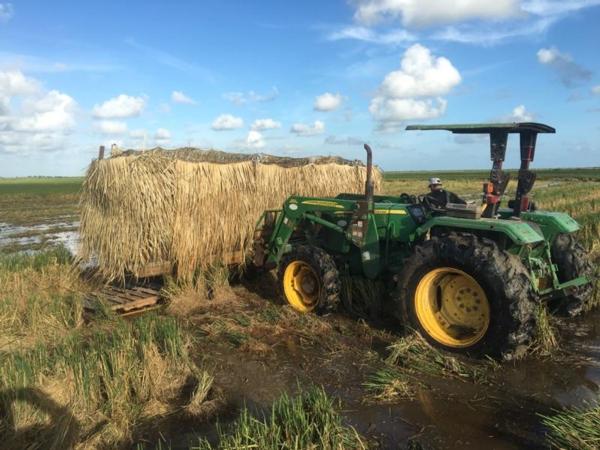 Ramping up for Early Teal !!