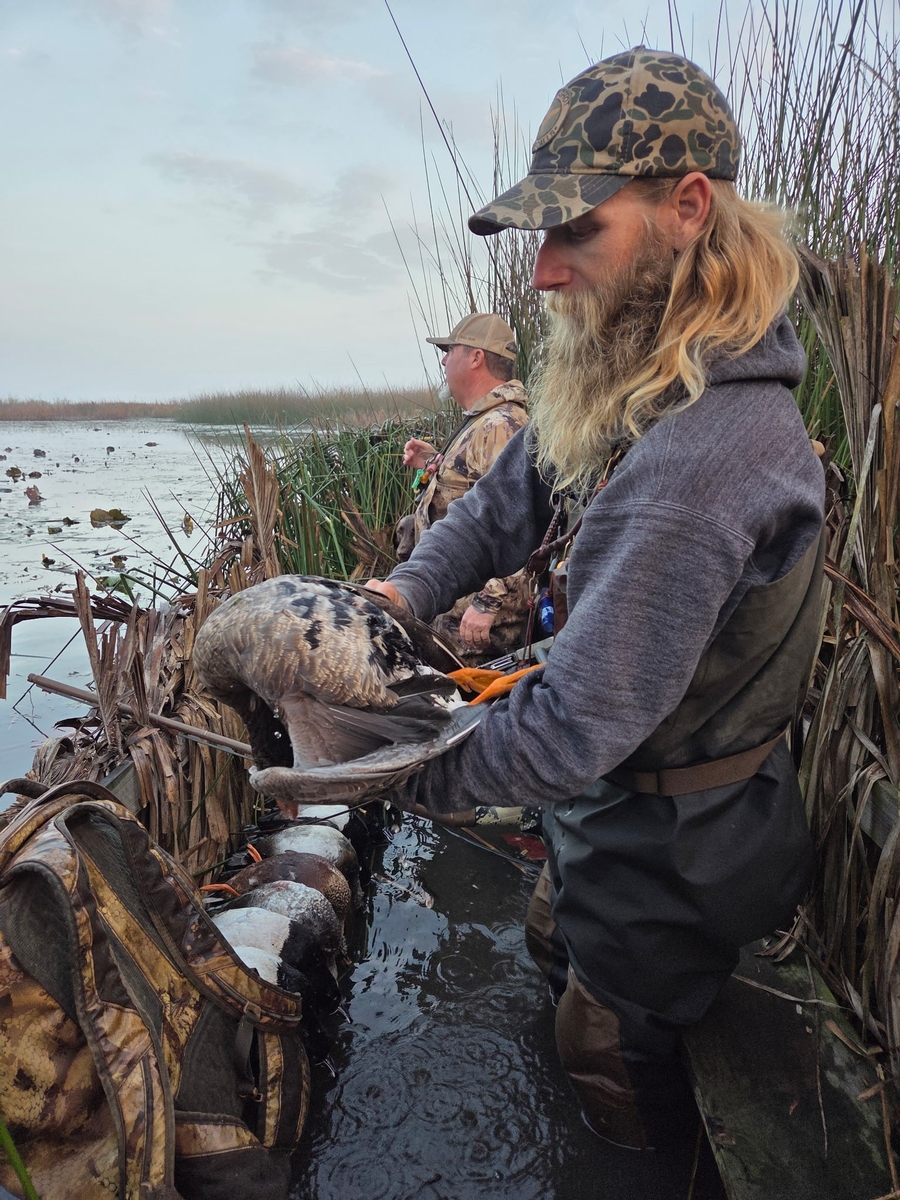25-26 waterfowl Photo