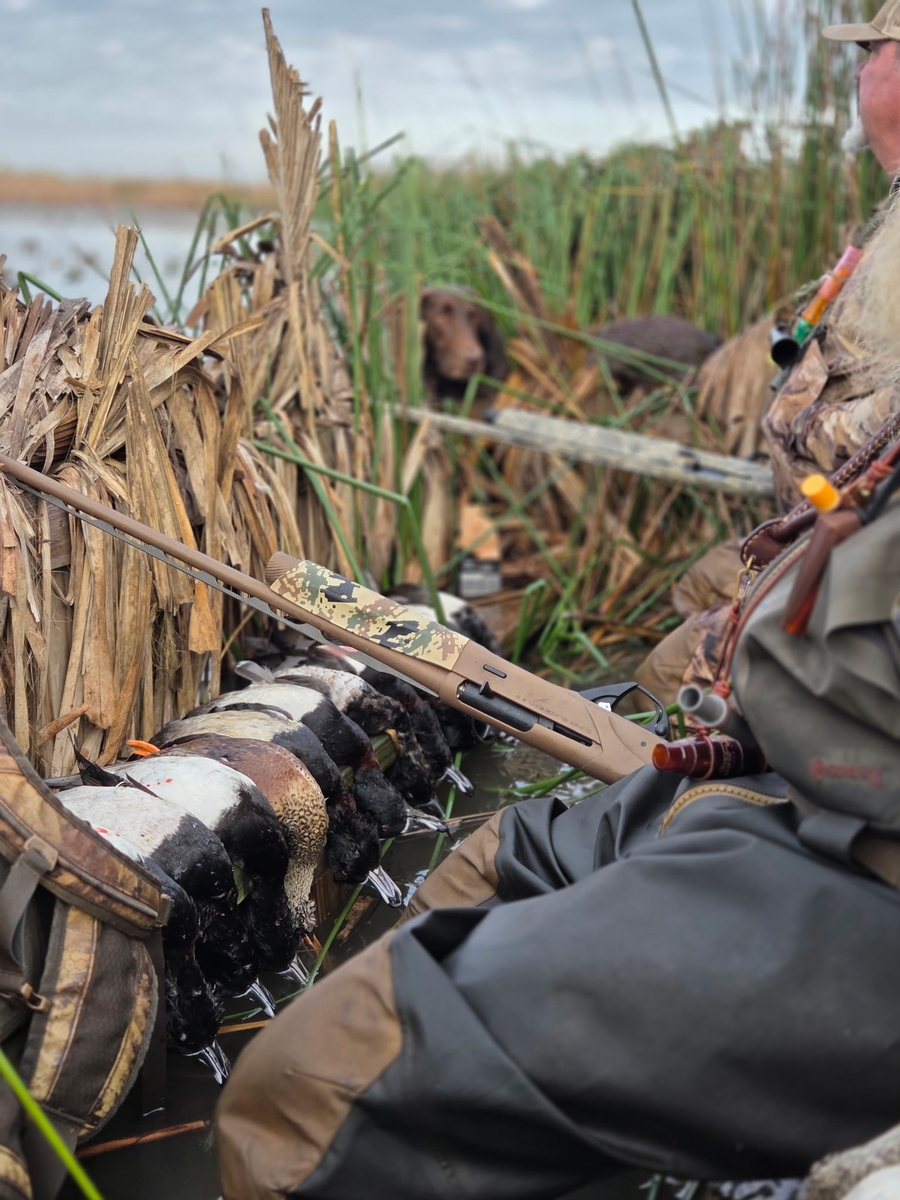 25-26 waterfowl Photo