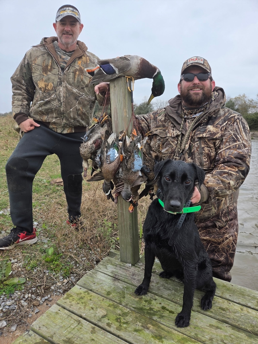 25-26 waterfowl Photo