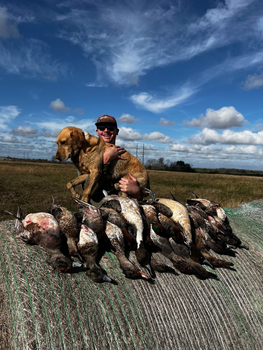 25-26 waterfowl Photo