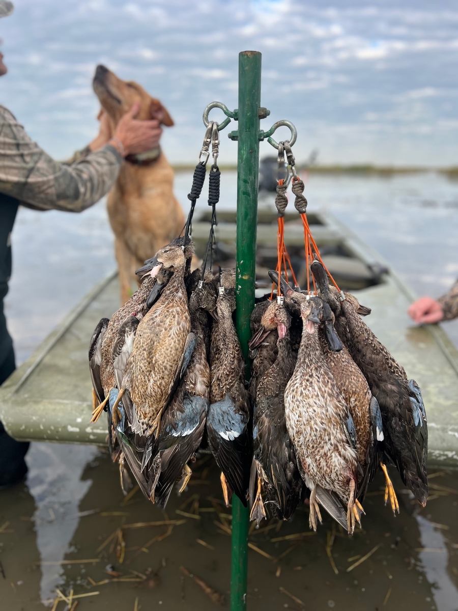 25-26 waterfowl Photo