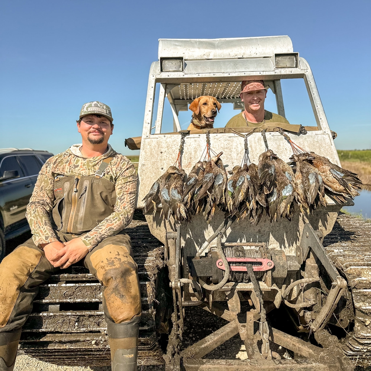 25-26 waterfowl Photo