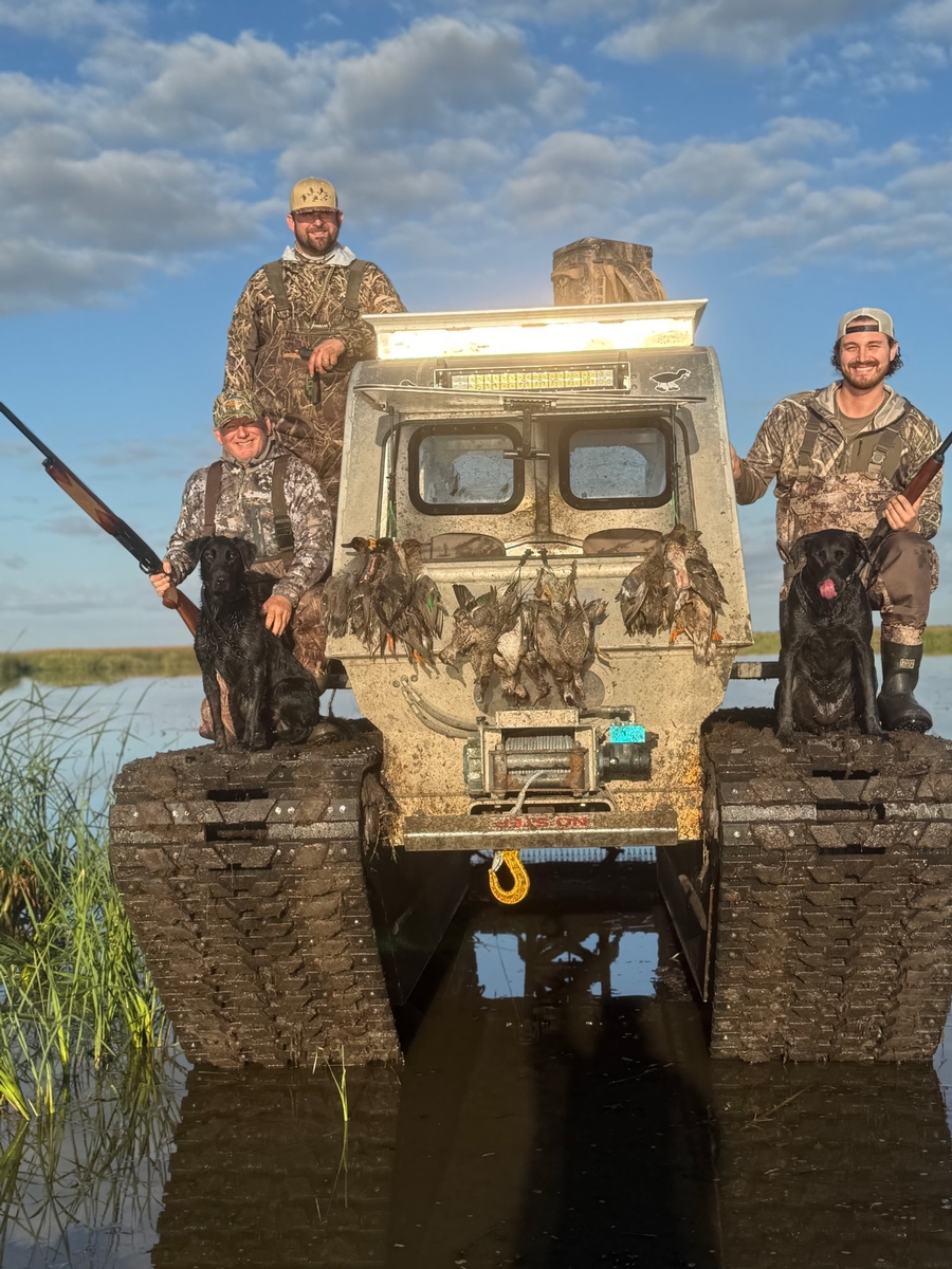 25-26 waterfowl Photo