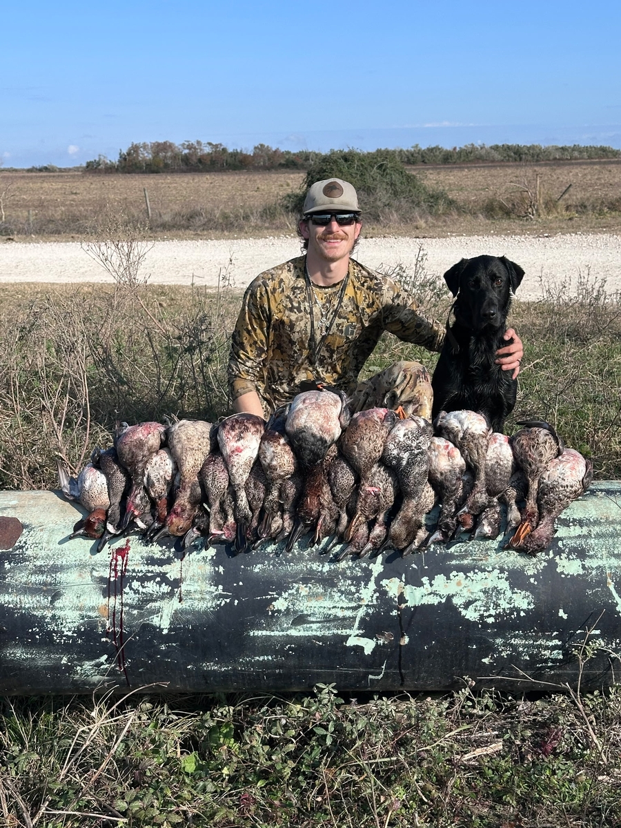 25-26 waterfowl Photo