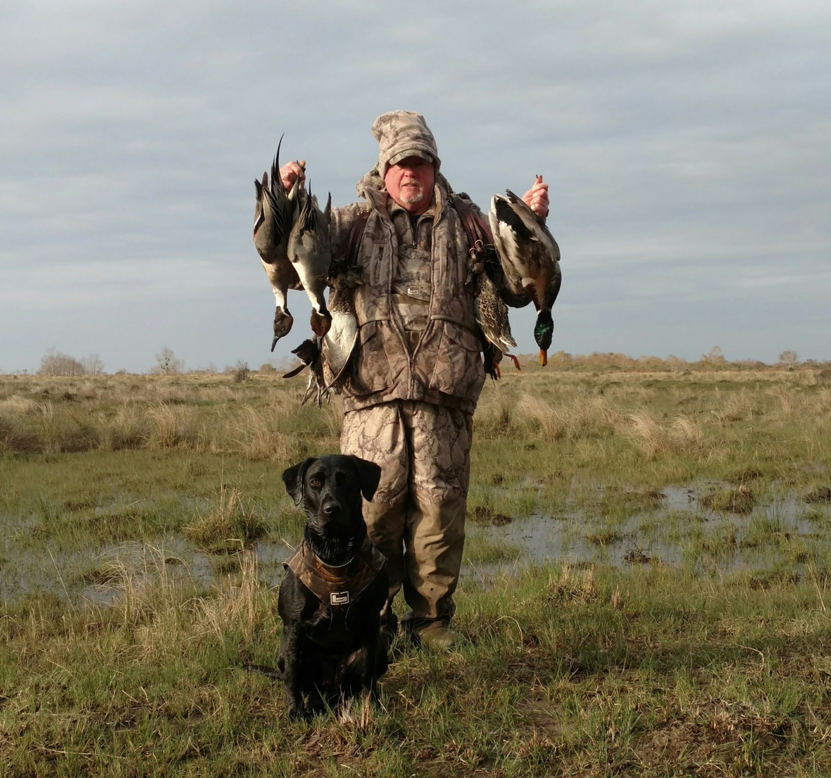 25-26 waterfowl Photo