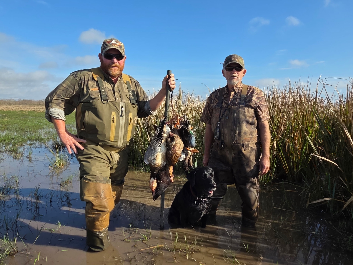 25-26 waterfowl Photo