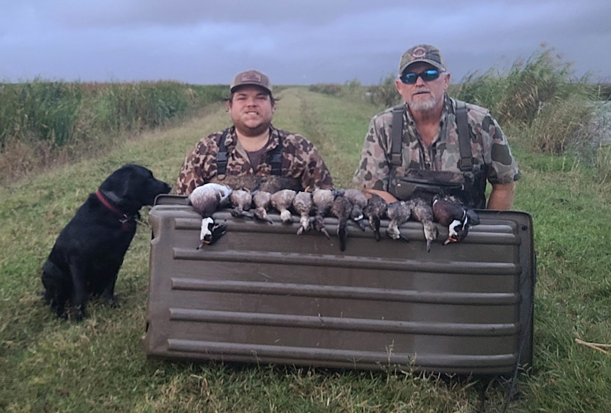 25-26 waterfowl Photo