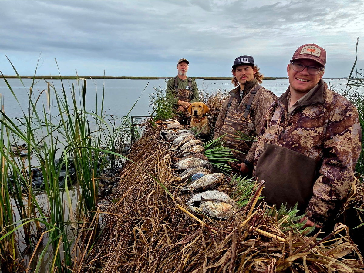 25-26 waterfowl Photo