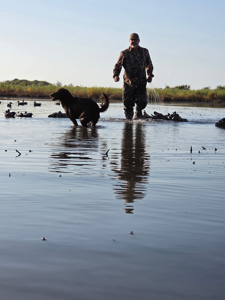 25-26 waterfowl Photo