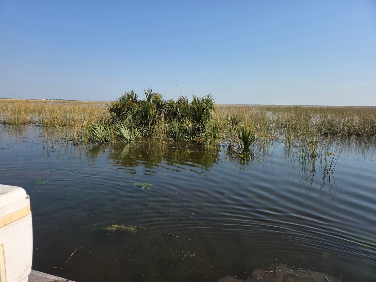 25-26 waterfowl Photo