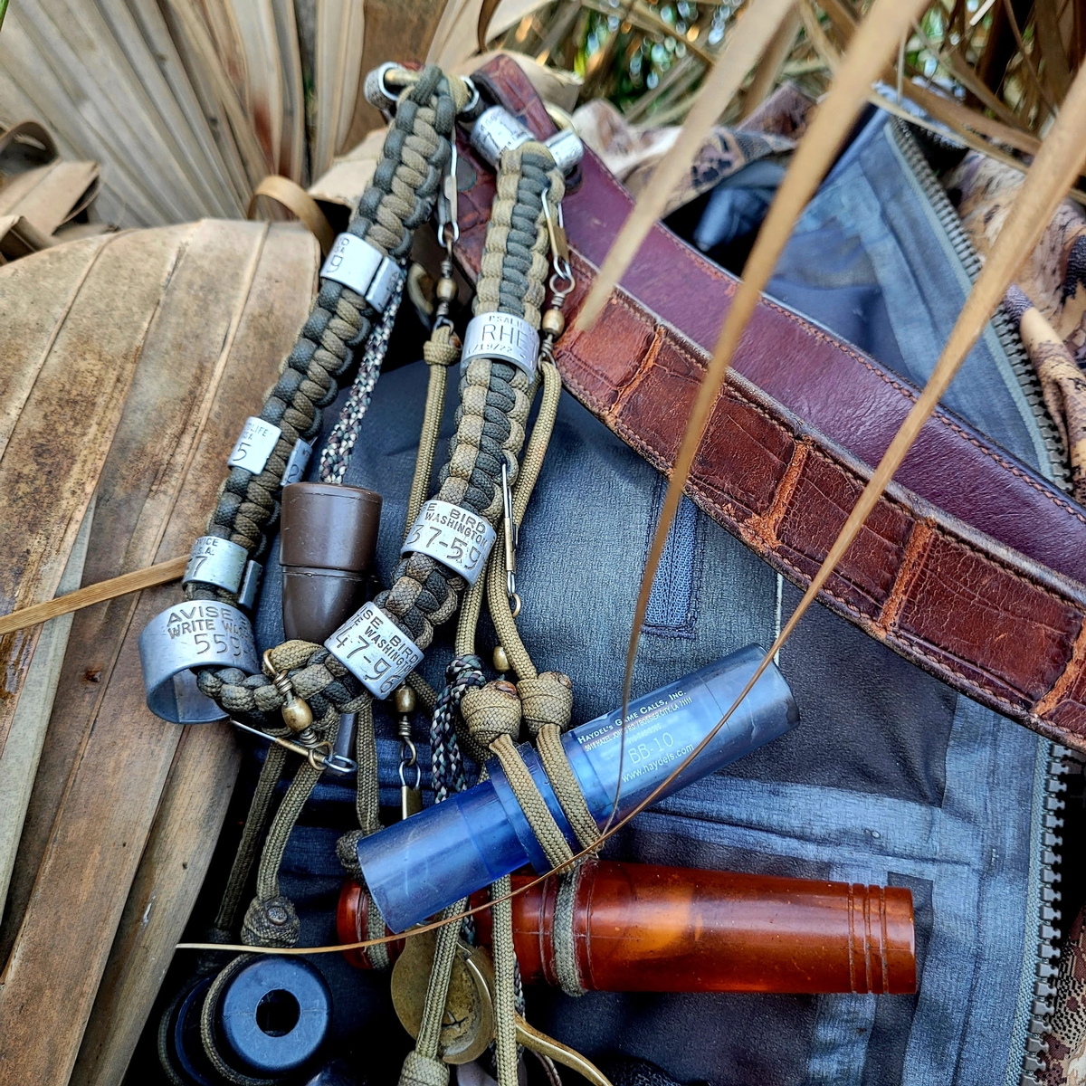 25-26 waterfowl Photo