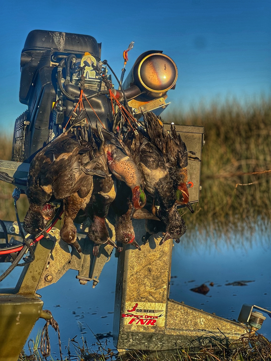 25-26 waterfowl Photo