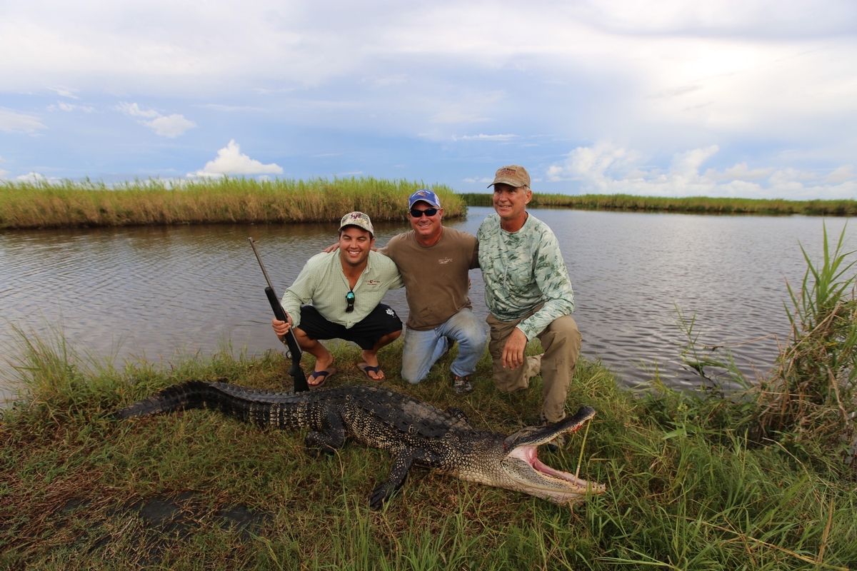 Alligator Hunts