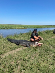 View The Photo Gallery