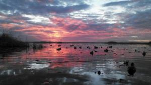 View The Photo Gallery