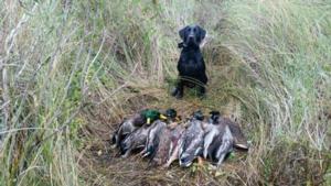 View The Photo Gallery