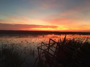 View The Photo Gallery