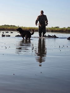 View The Photo Gallery