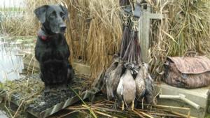 View The Photo Gallery