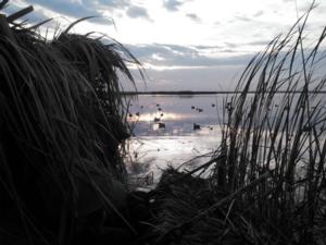 View The Photo Gallery