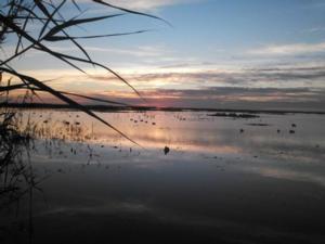View The Photo Gallery