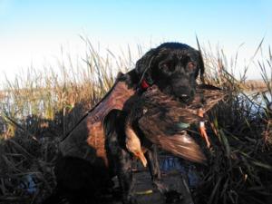 View The Photo Gallery
