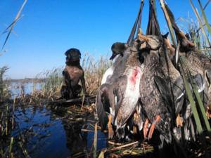 View The Photo Gallery