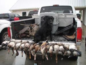 View The Photo Gallery