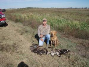 View The Photo Gallery