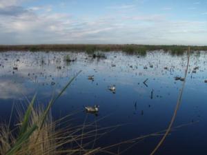 View The Photo Gallery